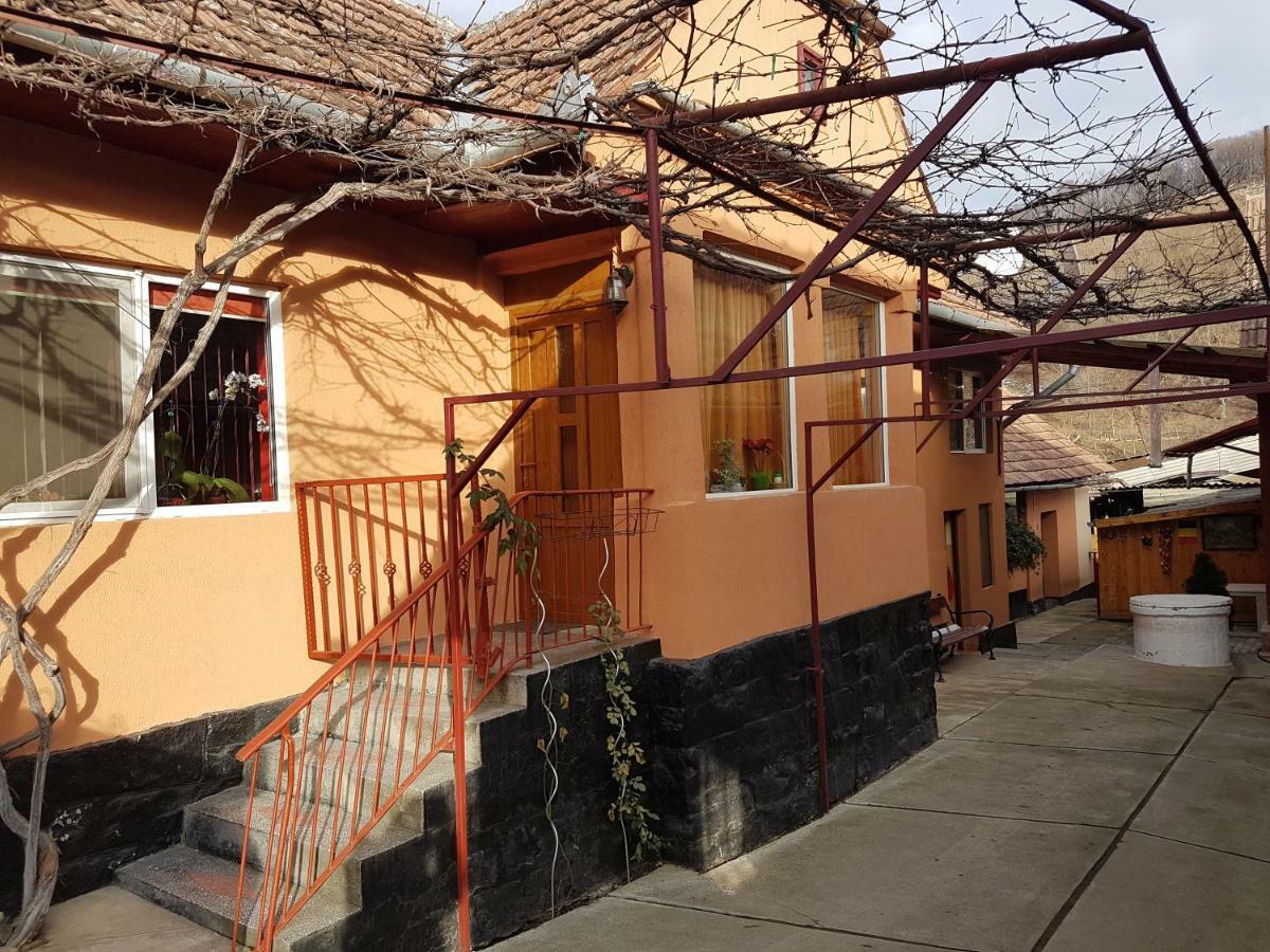 Casa De Oaspeti Morii 22 Malancrav 外观 照片